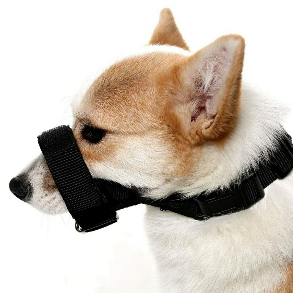 SCENEREAL Dog Muzzle